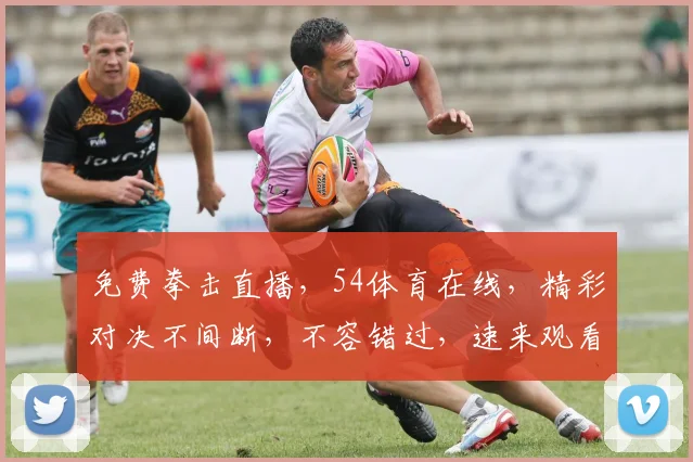 免费拳击直播，54体育在线，精彩对决不间断，不容错过，速来观看